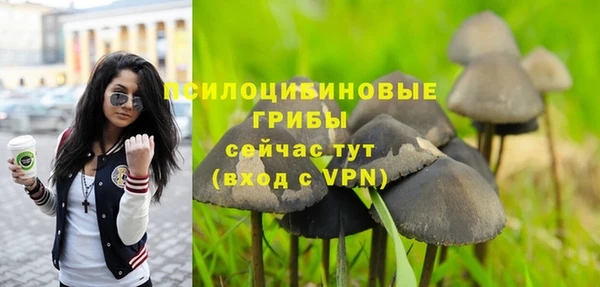 дмт Белоозёрский