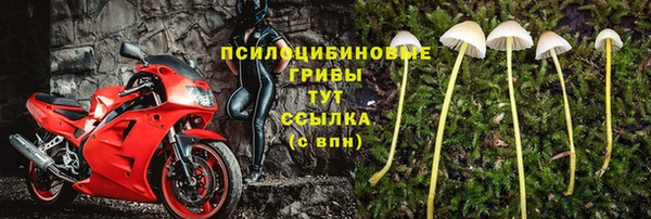 дмт Белоозёрский